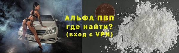 прущие грибы Алзамай