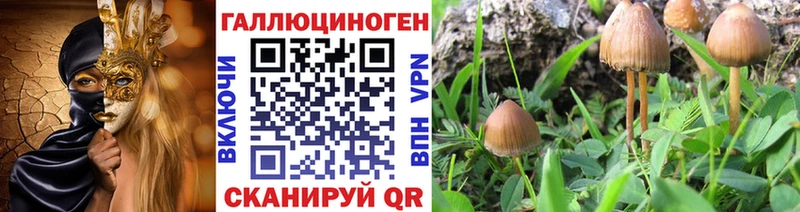 MEGA зеркало цена Шлиссельбург Псилоцибиновые грибы мухоморы