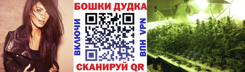 mega зеркало  Шлиссельбург  Марихуана VHQ  закладки 